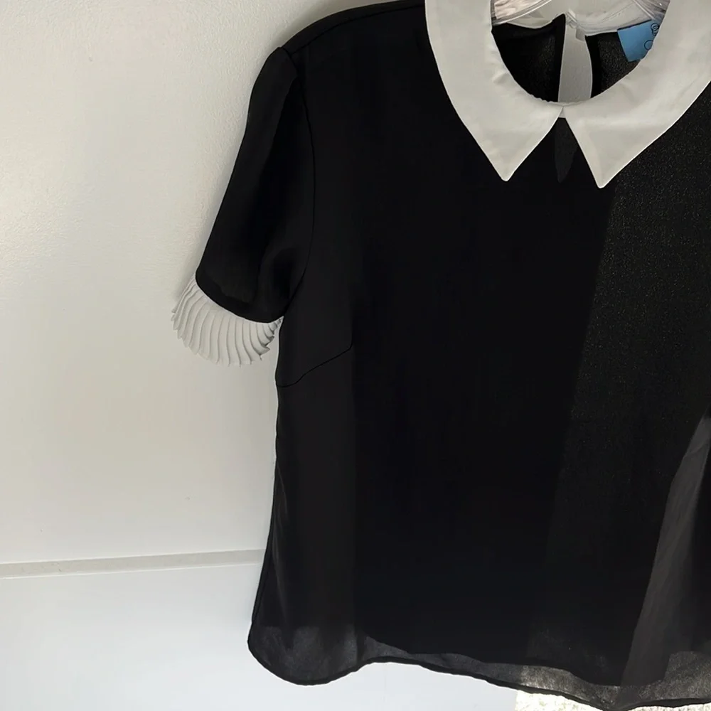Collared Shirt - Picture 2 of 8